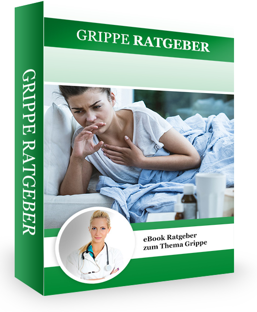 E-Book Grippe-Ratgeber
